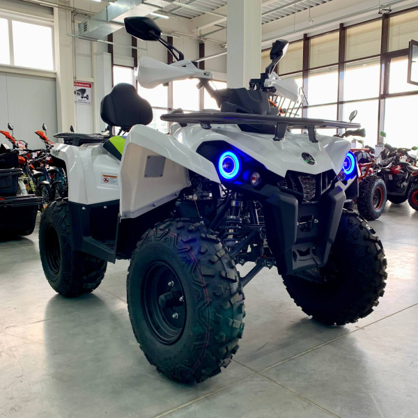 Квадроцикл GLADIATOR (Гладиатор) F200 белый (машинокомплект) - купить с доставкой, цены в интернет-магазине Мототека