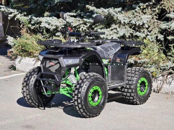 Квадроцикл детский R - MOTO (Р - Мото) Lion 125 AR lite черный (машинокомплект) | Мототека