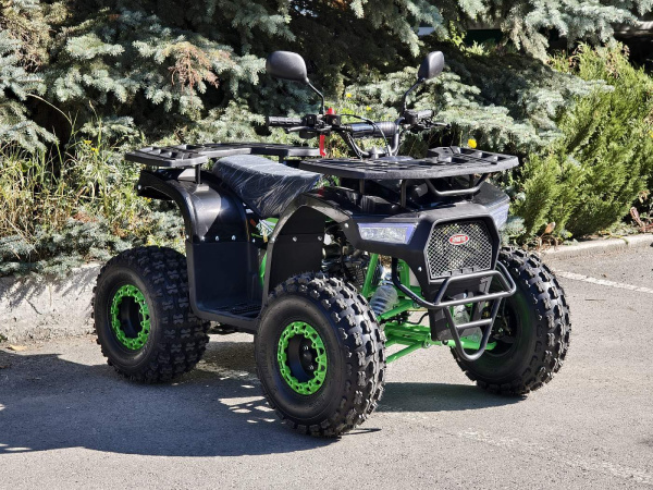 Квадроцикл детский R - MOTO (Р - Мото) Lion 125 AR lite черный (машинокомплект) | Мототека